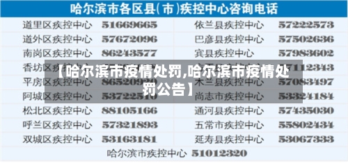 【哈尔滨市疫情处罚,哈尔滨市疫情处罚公告】