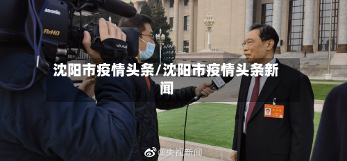 沈阳市疫情头条/沈阳市疫情头条新闻-第2张图片