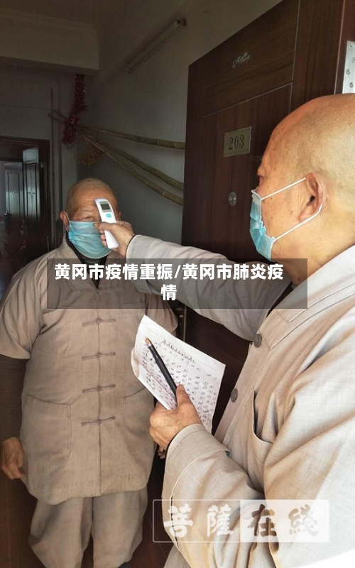 黄冈市疫情重振/黄冈市肺炎疫情