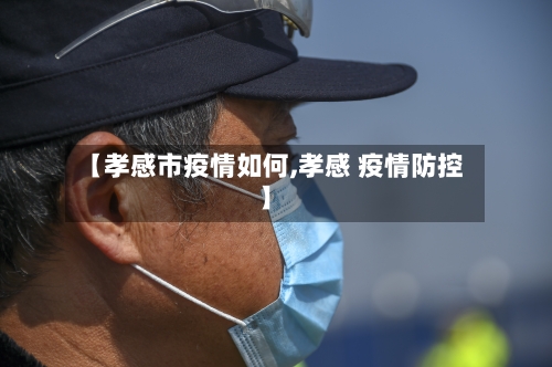 【孝感市疫情如何,孝感 疫情防控】