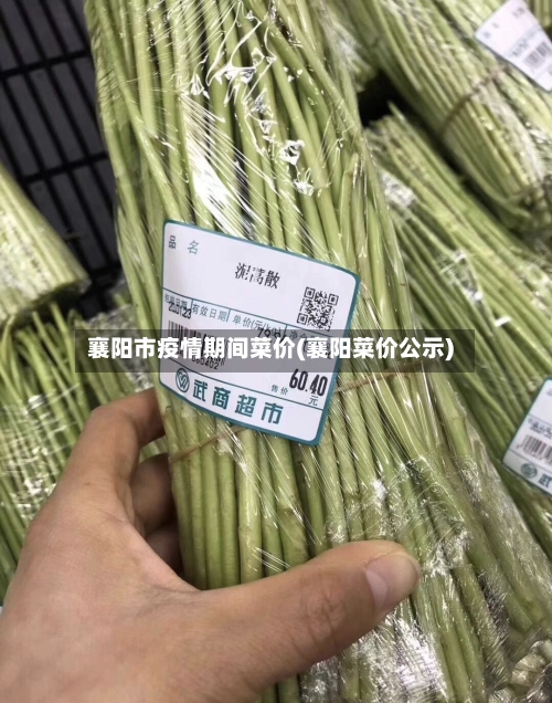 襄阳市疫情期间菜价(襄阳菜价公示)