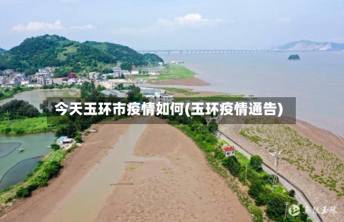 今天玉环市疫情如何(玉环疫情通告)