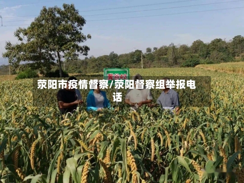 荥阳市疫情督察/荥阳督察组举报电话