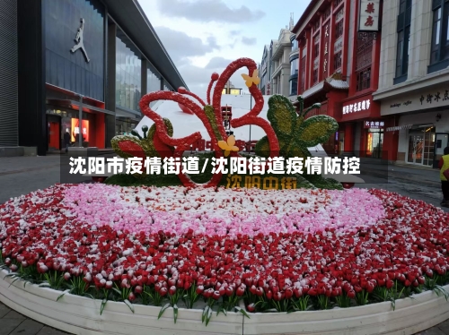 沈阳市疫情街道/沈阳街道疫情防控