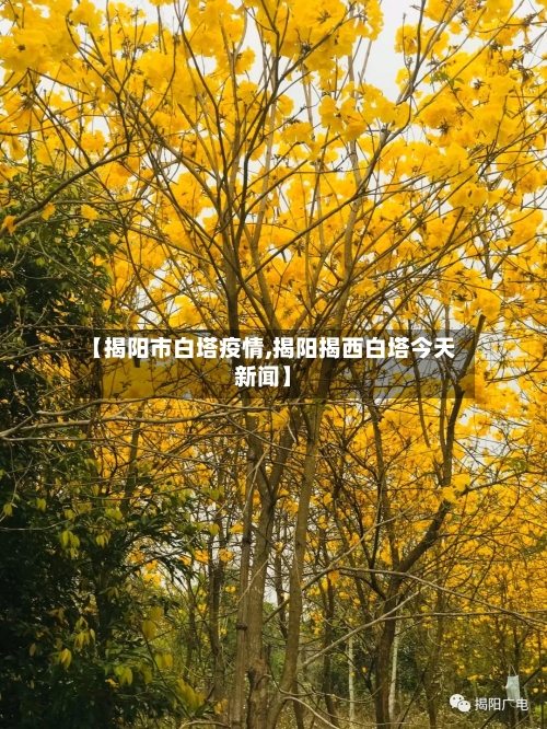 【揭阳市白塔疫情,揭阳揭西白塔今天新闻】
