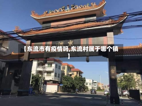 【东流市有疫情吗,东流村属于哪个镇】-第2张图片
