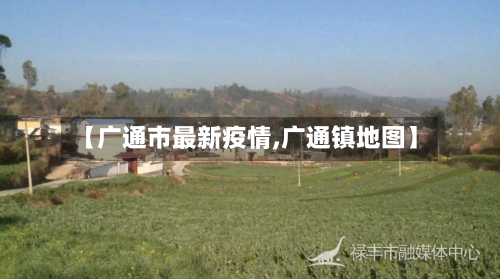 【广通市最新疫情,广通镇地图】-第2张图片