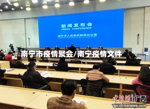 南宁市疫情聚会/南宁疫情文件