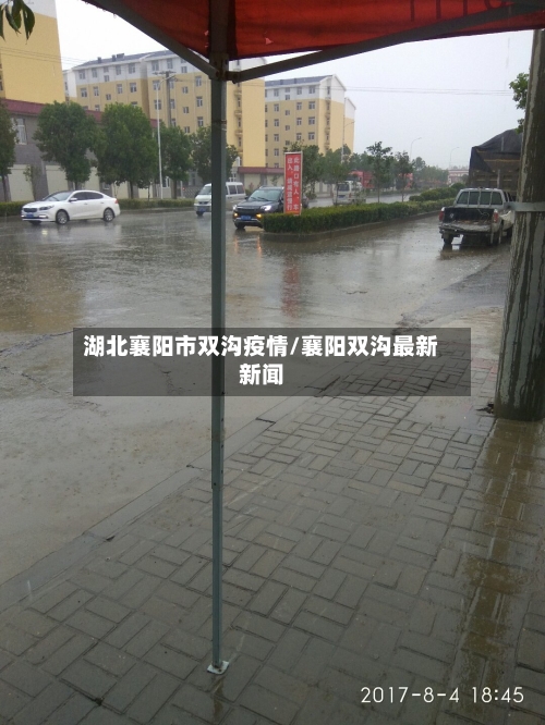 湖北襄阳市双沟疫情/襄阳双沟最新新闻-第2张图片