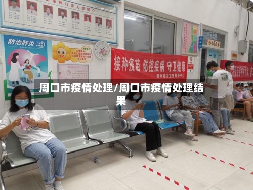 周口市疫情处理/周口市疫情处理结果-第3张图片