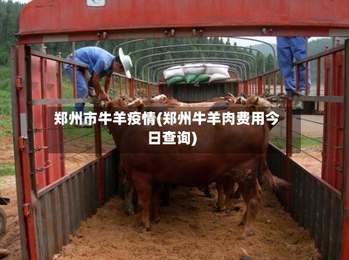 郑州市牛羊疫情(郑州牛羊肉费用今日查询)-第2张图片