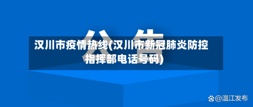 汉川市疫情热线(汉川市新冠肺炎防控指挥部电话号码)-第2张图片