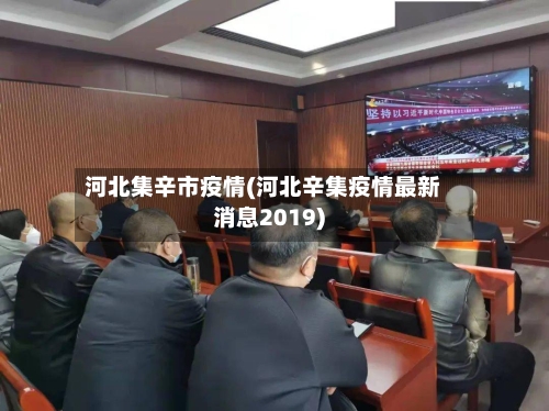 河北集辛市疫情(河北辛集疫情最新消息2019)