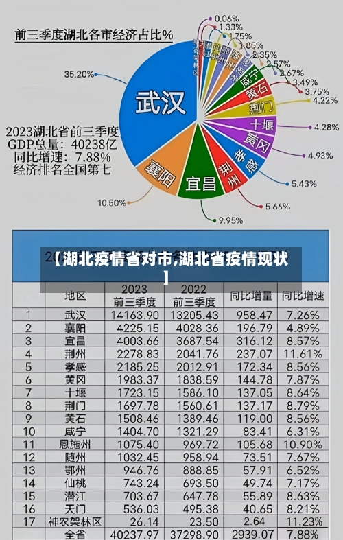 【湖北疫情省对市,湖北省疫情现状】