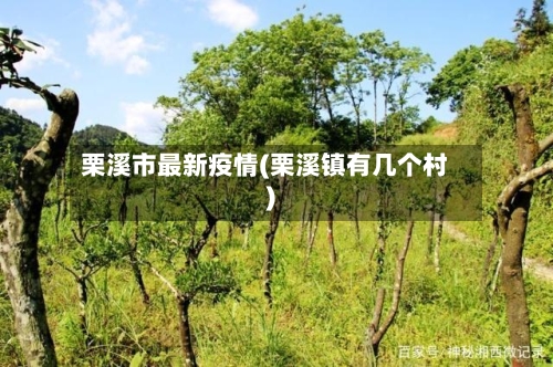 栗溪市最新疫情(栗溪镇有几个村)