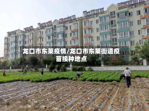 龙口市东莱疫情/龙口市东莱街道疫苗接种地点-第2张图片