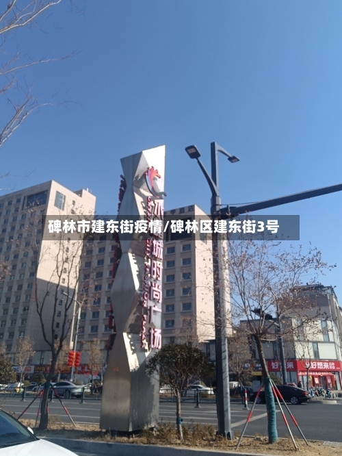 碑林市建东街疫情/碑林区建东街3号-第2张图片