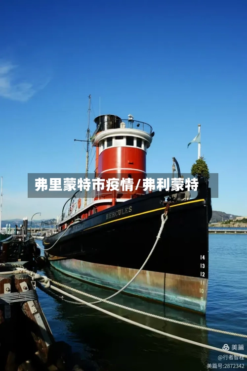 弗里蒙特市疫情/弗利蒙特-第2张图片