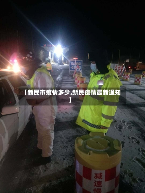 【新民市疫情多少,新民疫情最新通知】-第2张图片