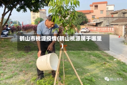 鹤山市桃源疫情(鹤山桃源属于哪里)-第2张图片