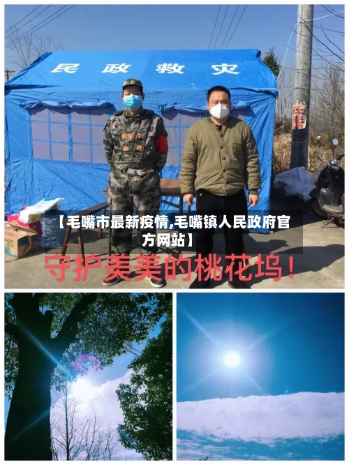 【毛嘴市最新疫情,毛嘴镇人民政府官方网站】