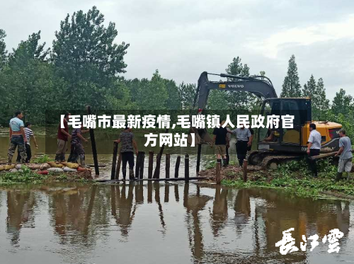 【毛嘴市最新疫情,毛嘴镇人民政府官方网站】-第3张图片