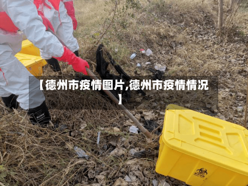 【德州市疫情图片,德州市疫情情况】-第3张图片