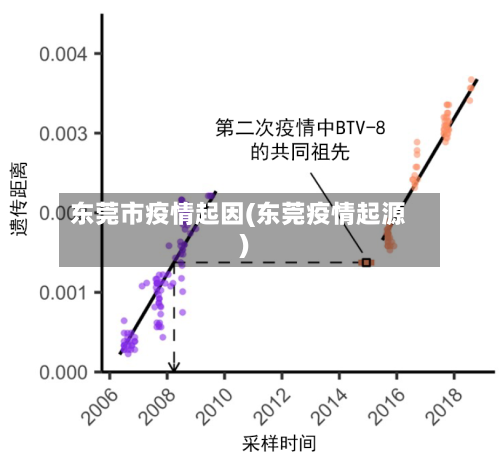 东莞市疫情起因(东莞疫情起源)