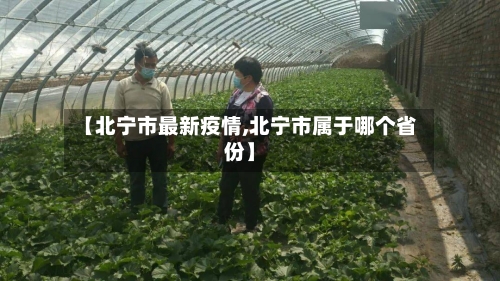 【北宁市最新疫情,北宁市属于哪个省份】