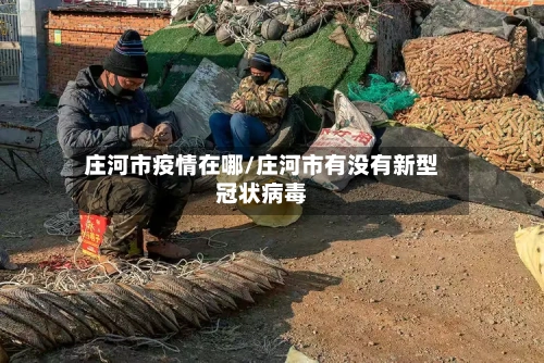 庄河市疫情在哪/庄河市有没有新型冠状病毒-第3张图片