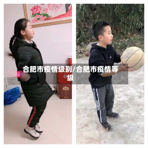 合肥市疫情级别/合肥市疫情等级-第3张图片