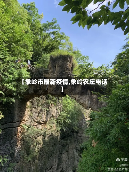 【象岭市最新疫情,象岭农庄电话】