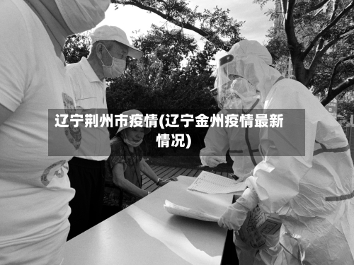 辽宁荆州市疫情(辽宁金州疫情最新情况)-第3张图片