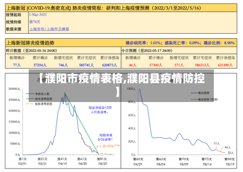 【濮阳市疫情表格,濮阳县疫情防控】-第3张图片