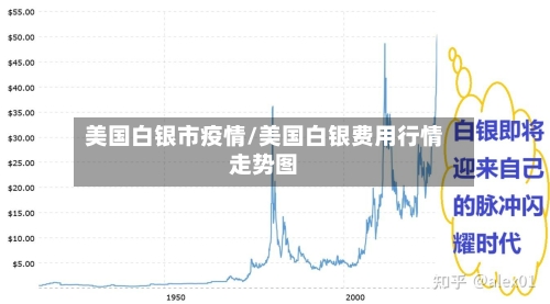 美国白银市疫情/美国白银费用行情走势图-第3张图片