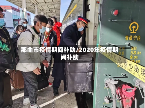 那曲市疫情期间补助/2020年疫情期间补助