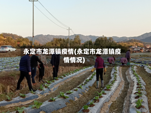 永定市龙潭镇疫情(永定市龙潭镇疫情情况)