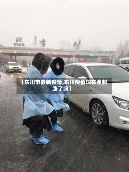 【东川市最新疫情,东川疫情现在全封路了吗】