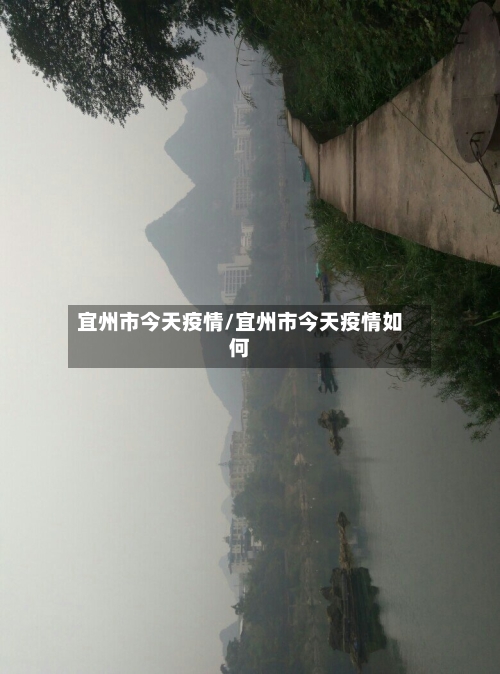 宜州市今天疫情/宜州市今天疫情如何-第2张图片