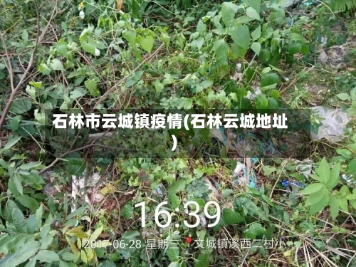 石林市云城镇疫情(石林云城地址)-第3张图片