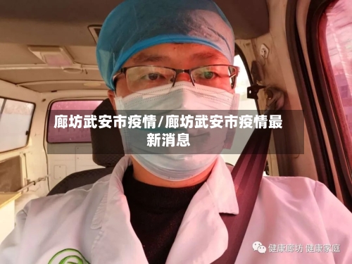 廊坊武安市疫情/廊坊武安市疫情最新消息-第2张图片