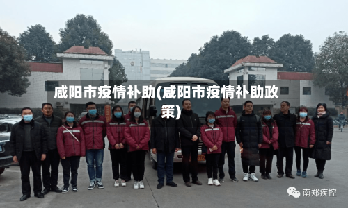 咸阳市疫情补助(咸阳市疫情补助政策)