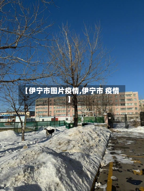 【伊宁市图片疫情,伊宁市 疫情】-第2张图片