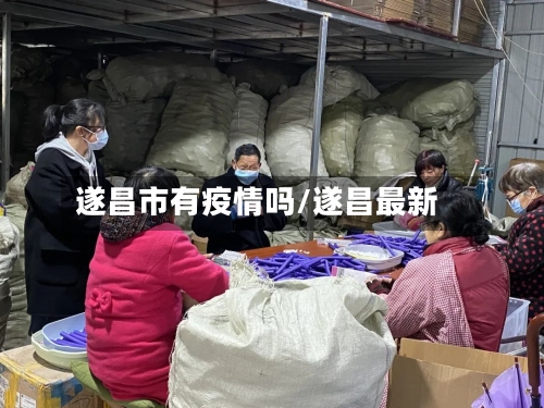 遂昌市有疫情吗/遂昌最新