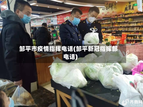 邹平市疫情指挥电话(邹平新冠指挥部电话)-第2张图片