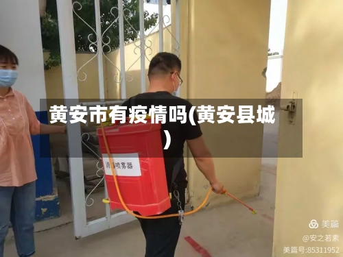 黄安市有疫情吗(黄安县城)-第2张图片
