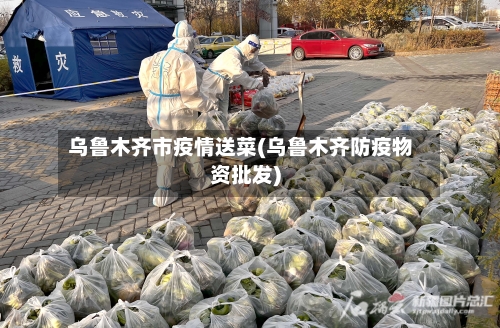 乌鲁木齐市疫情送菜(乌鲁木齐防疫物资批发)-第2张图片