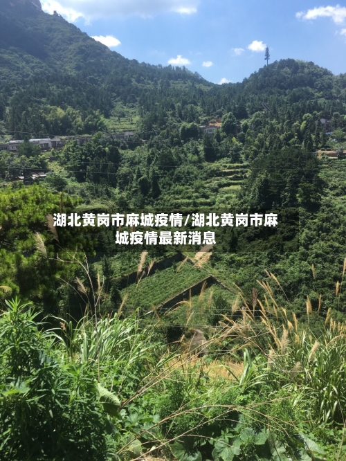 湖北黄岗市麻城疫情/湖北黄岗市麻城疫情最新消息