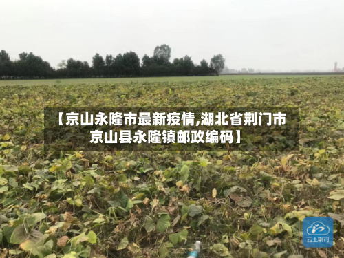 【京山永隆市最新疫情,湖北省荆门市京山县永隆镇邮政编码】