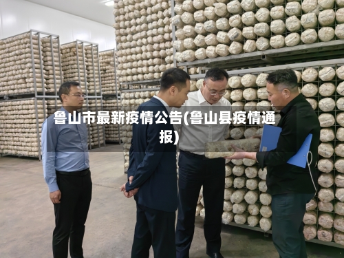 鲁山市最新疫情公告(鲁山县疫情通报)-第2张图片
